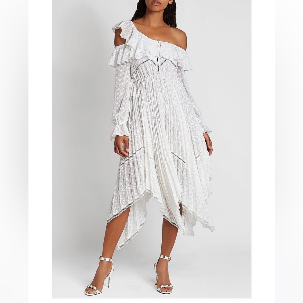 Self-Portrait Daisy Embroidered Asymmetric Midi Dress in White